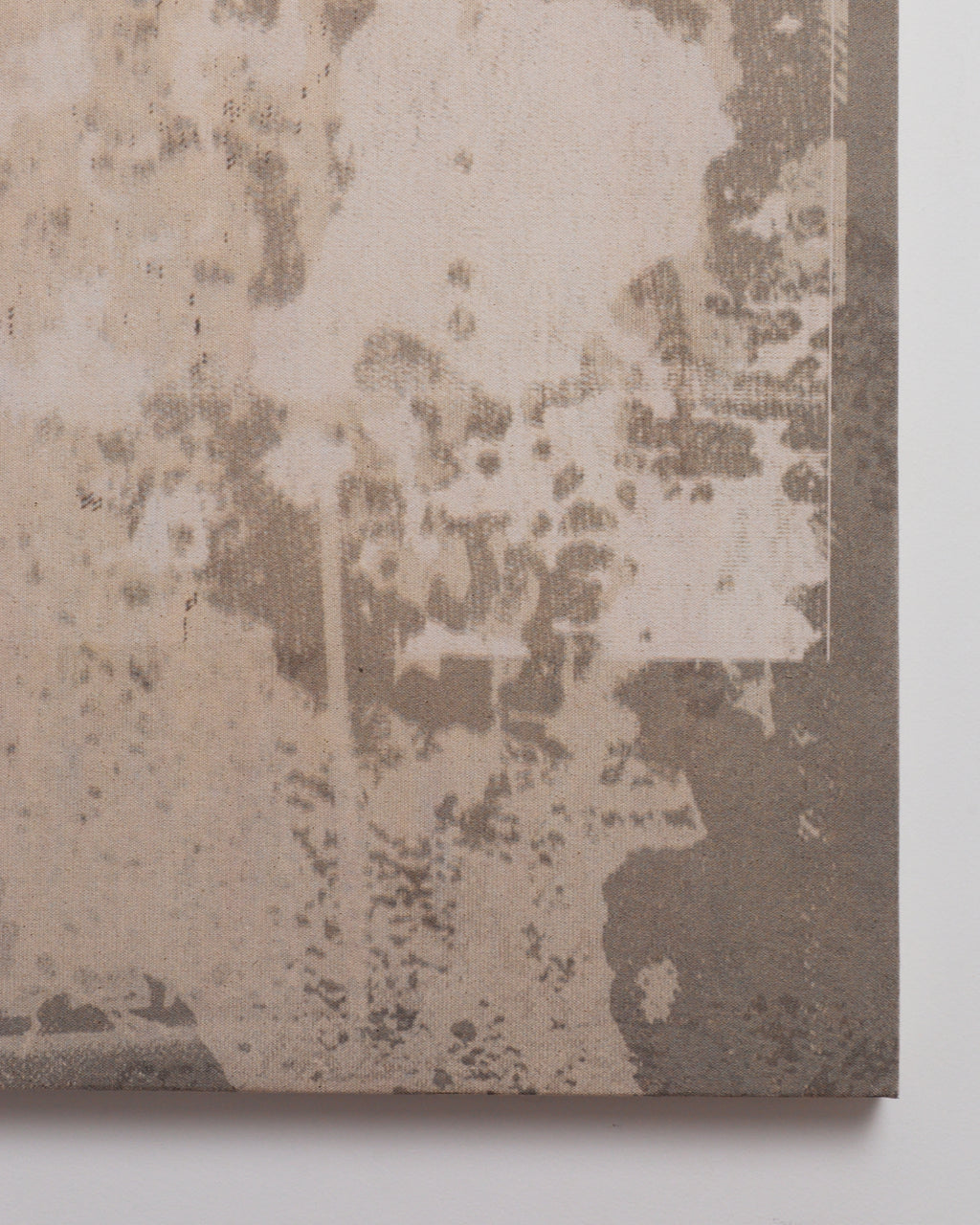 Close-up of textured wallpaper with a neutral color palette on a white background