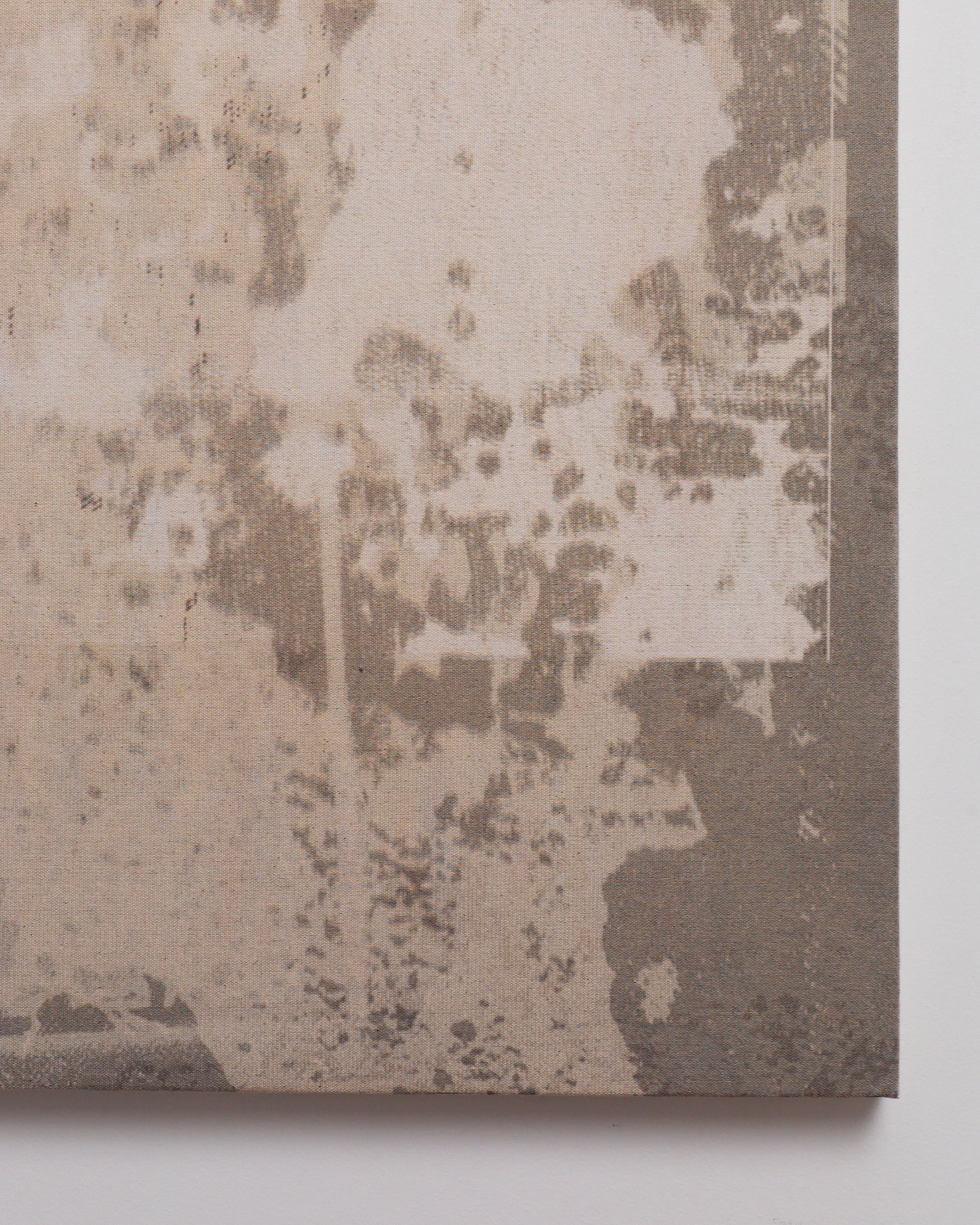 Close-up of textured wallpaper with a neutral color palette on a white background