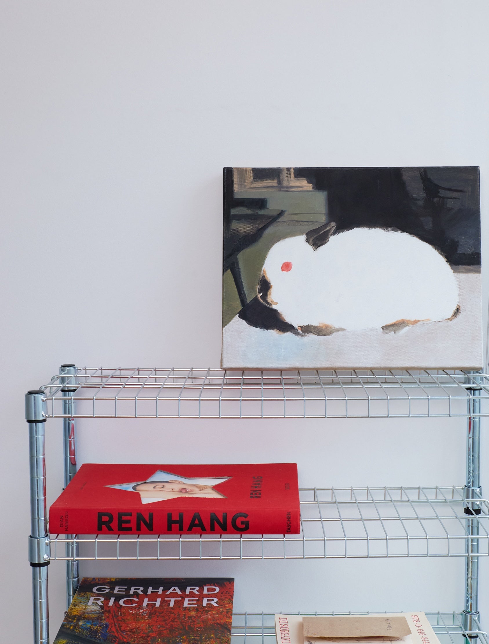 Untitled (Himalayan Netherland Dwarf)