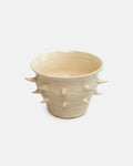 Beige ceramic planter with spiky texture on a white background