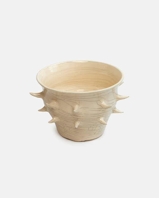 Beige ceramic planter with spiky texture on a white background