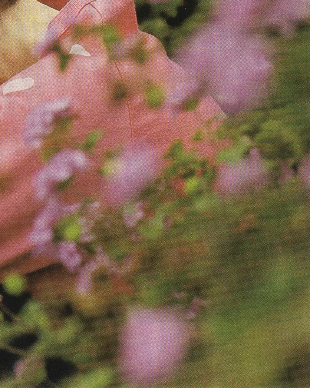 Aroma
