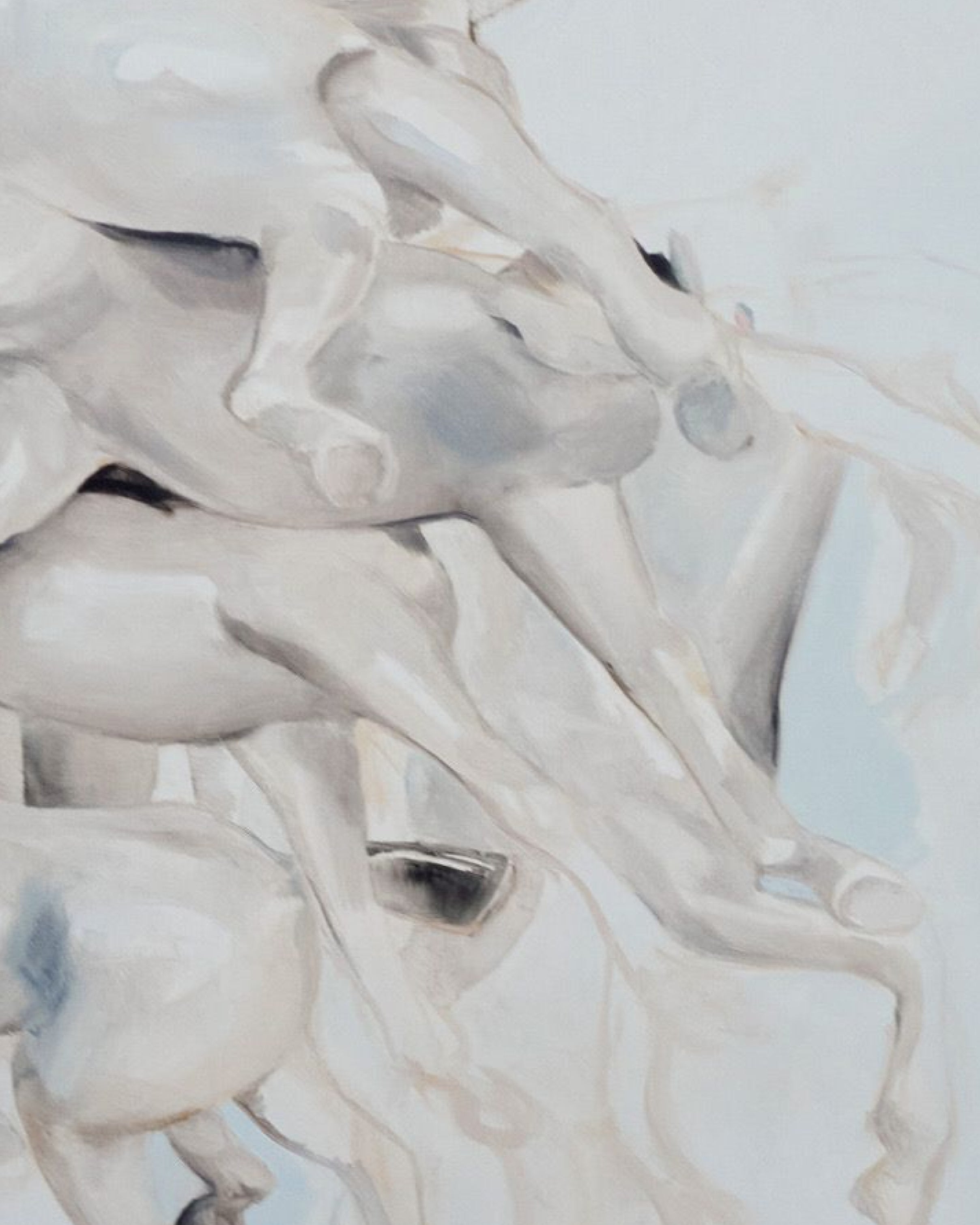 Horses